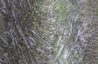 Two Gates fibreglass roof work